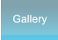 Gallery Gallery